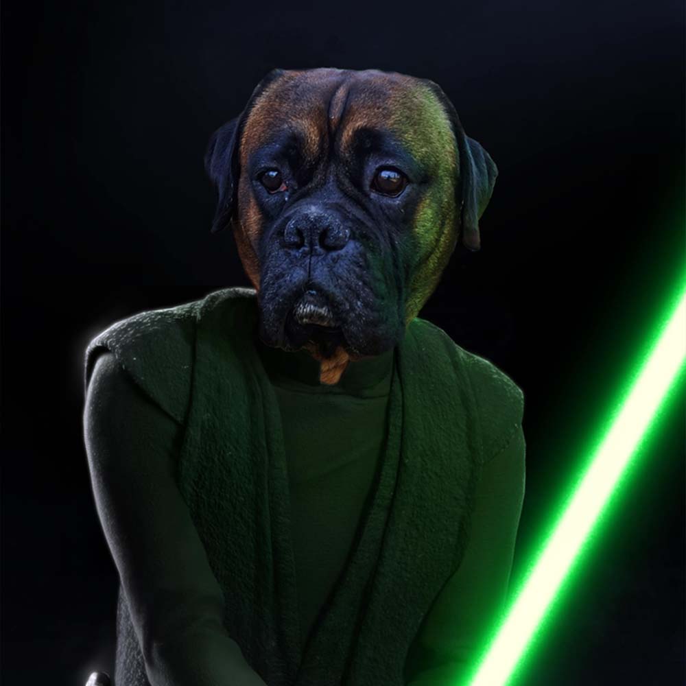 Jedi Ritter